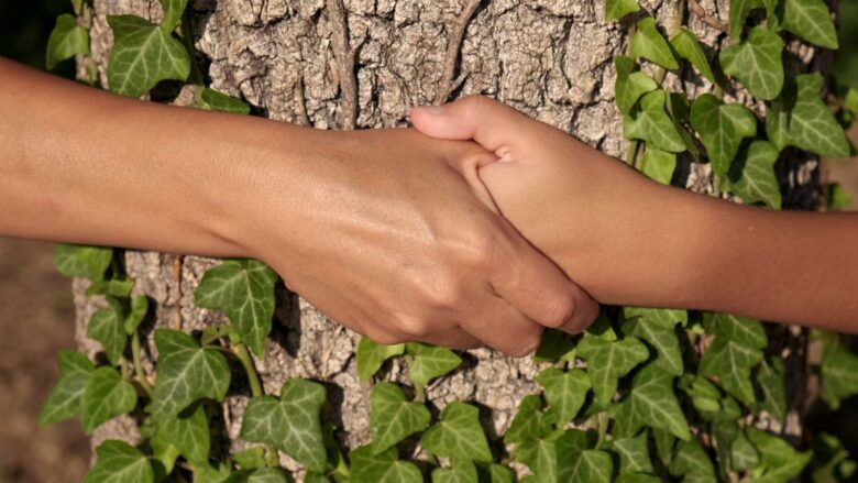 arbre_genealogique_unionarbre