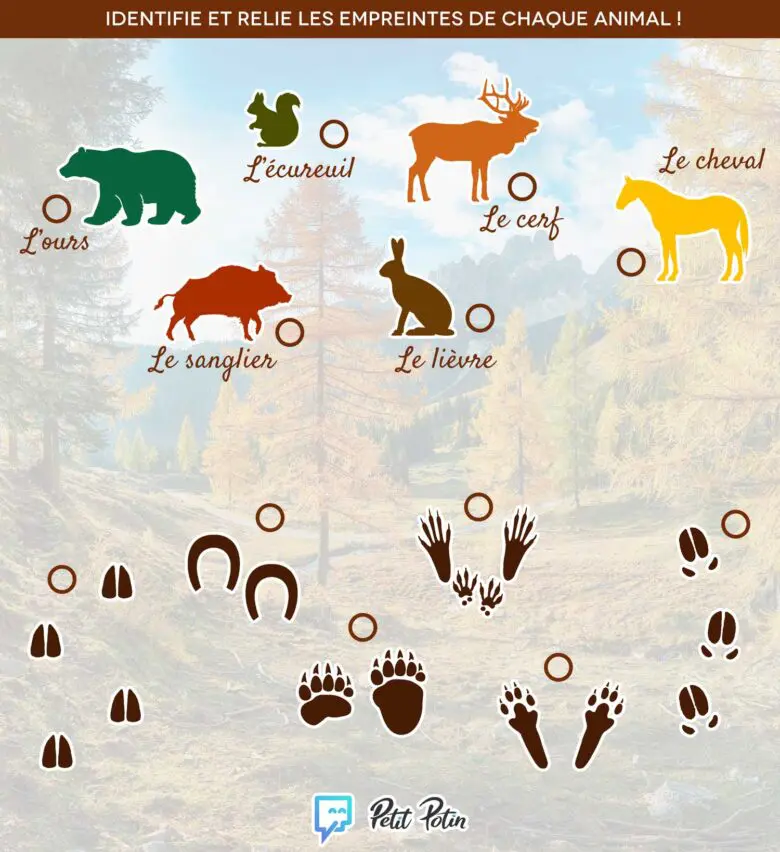activites-automne-jeu-animaux