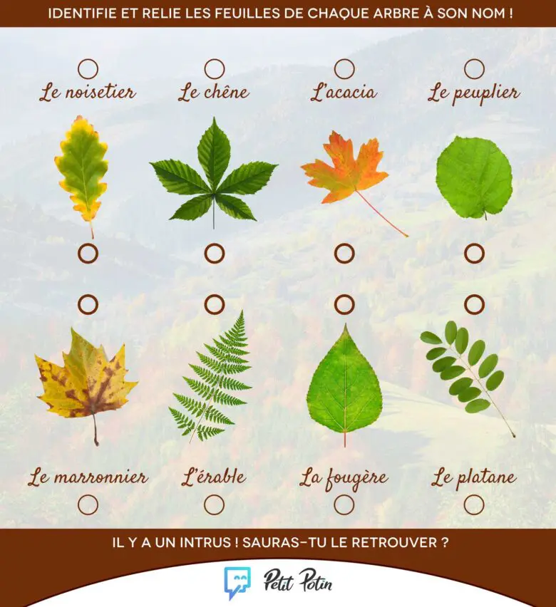 activites-automne-jeu-feuilles