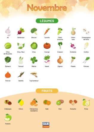 activites-automne-legumes-novembre