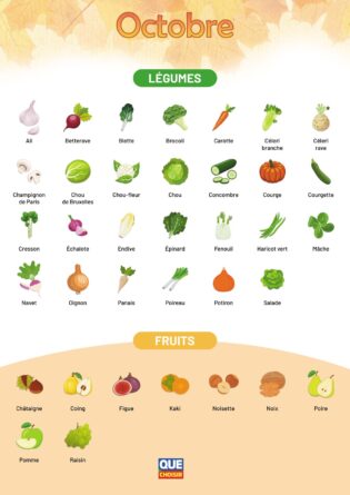 activites-automne-legumes-octobre