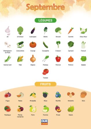 activites-automne-legumes-septembre