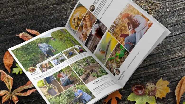 activites-automne-magazine