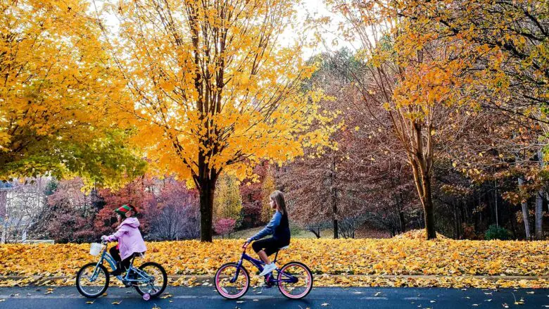 activites-automne-velos
