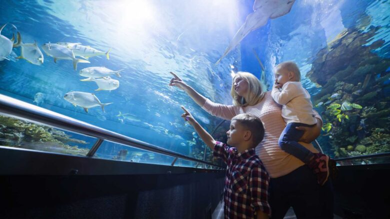 vacances-famille_aquarium