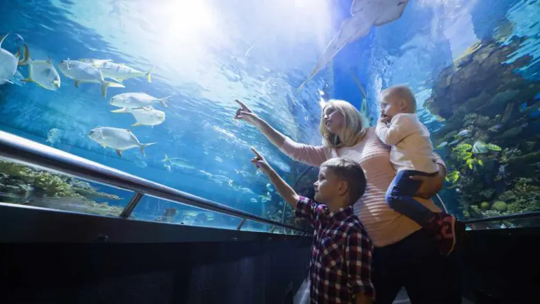 vacances-famille_aquarium