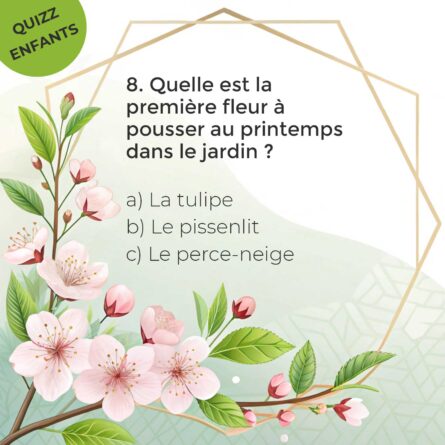 celebrer-printemps_quizz8