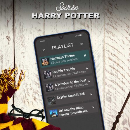 defi-famille_repas-harry-potter2