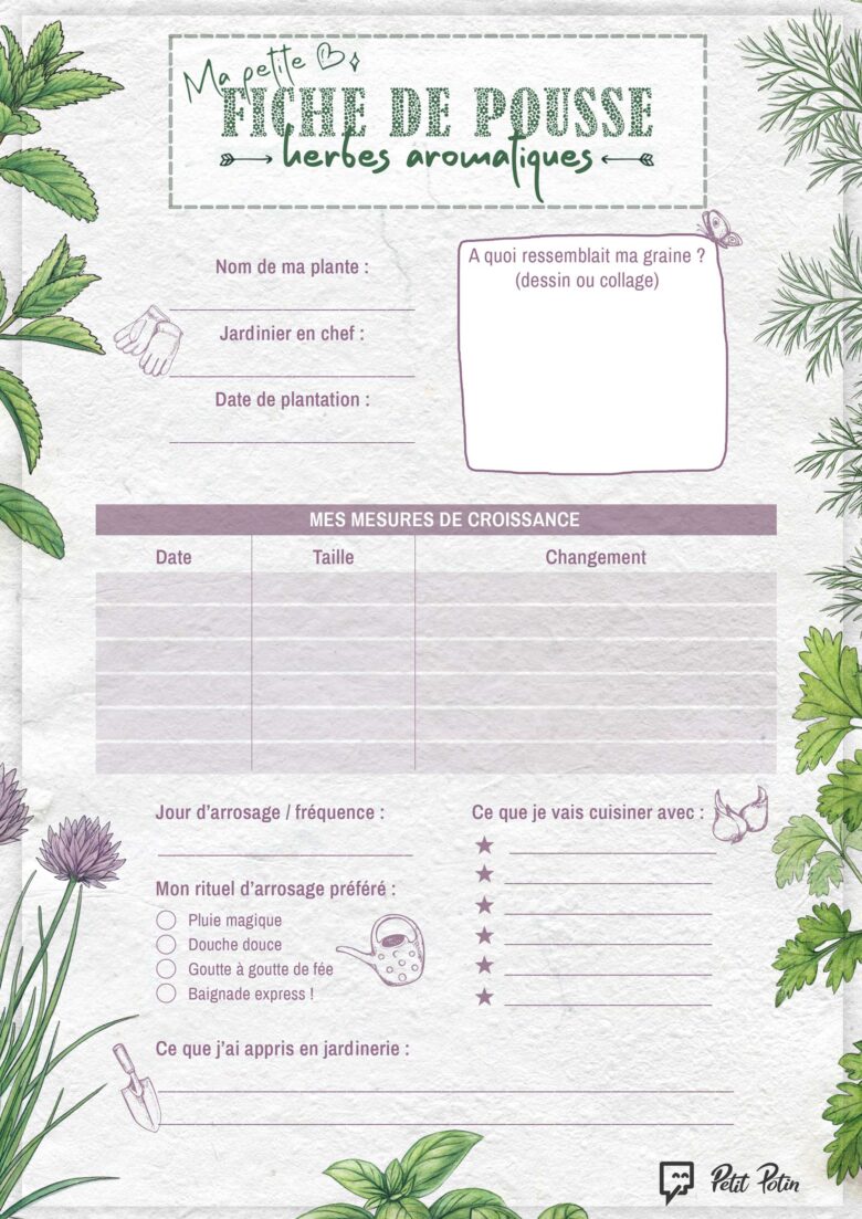 mini-jardin-maison_fiche_aromates