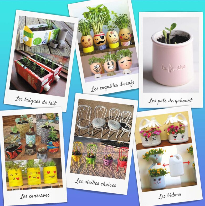 mini-jardin-maison_inspiration1