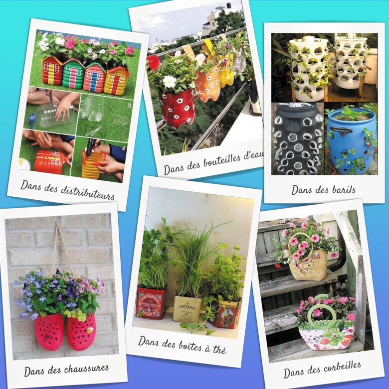 mini-jardin-maison_inspiration4