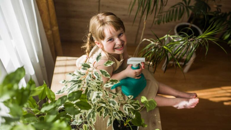 mini-jardin-maison_photo1