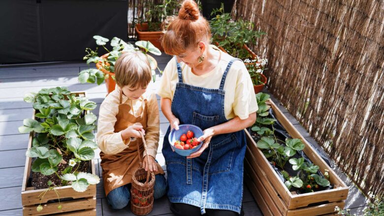 mini-jardin-maison_photo2