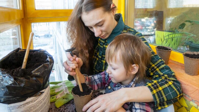 mini-jardin-maison_photo4