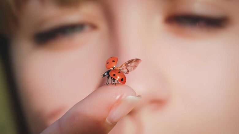 plaisirs-quotidiens_photo6